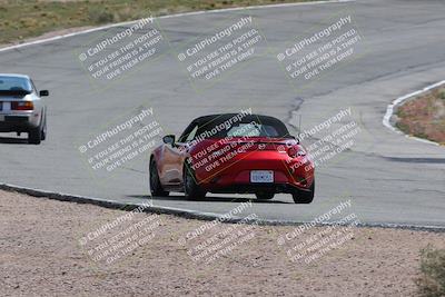 media/Mar-04-2023-West Coast Racing (Sat) [[a3f8e4c156]]/Green/Back Shots/